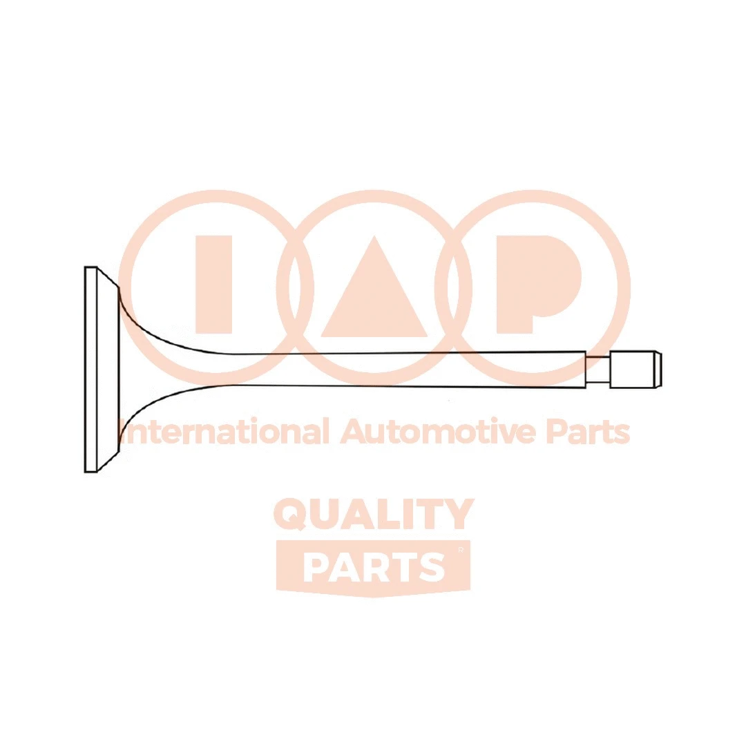 Впускной клапан IAP QUALITY PARTS 110-07190